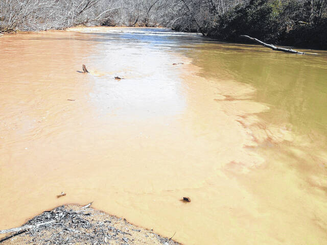 The Upper Saluda Watershed above Saluda Lake encompasses nearly 300 square miles in Greenville and Pickens Counties and provides critical water resources for local communities in the Upstate.
                                 Courtesy photo
