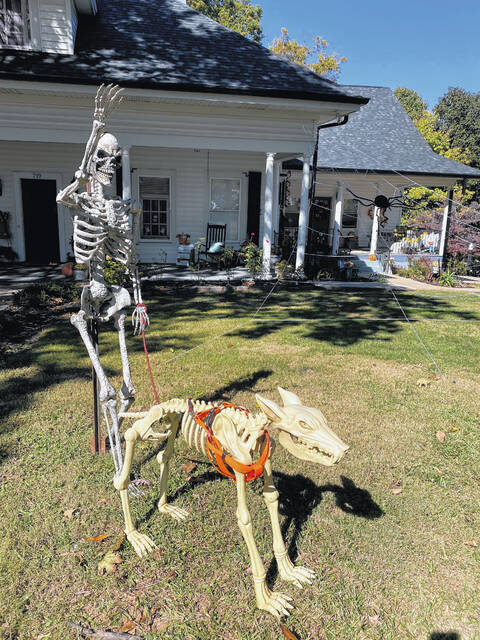 Kala Jansen | The Sentinel-Progress