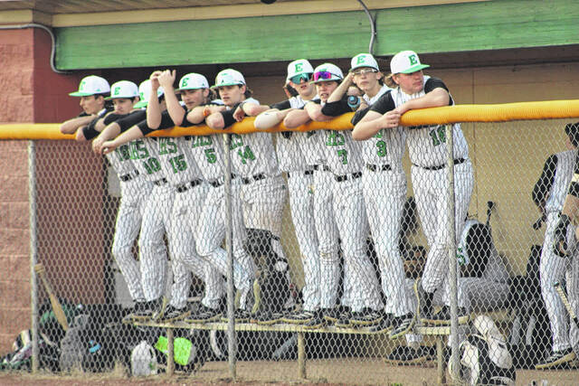 Pictured are the Easley baseball players in the dugout rooting on the team to victory over JL Mann.
                                 Photo courtesy of Alicia Tolbert