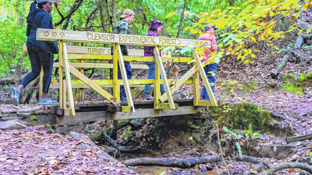 A recent report found that the Forest is home to approximately 1,200 species of vascular plants, including 44 rare species tracked by SCDNR. (Courtesy photo).