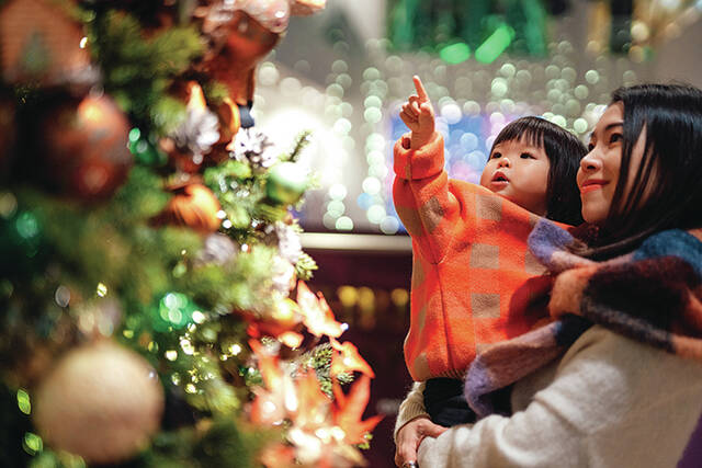 The tradition of the Christmas tree is believed to have begun in Germany in the sixteenth century. (File photo).